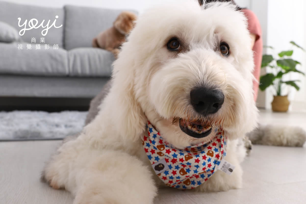 寵物用品攝影｜寵物乾洗噴霧與居家清潔護理情境攝影 45