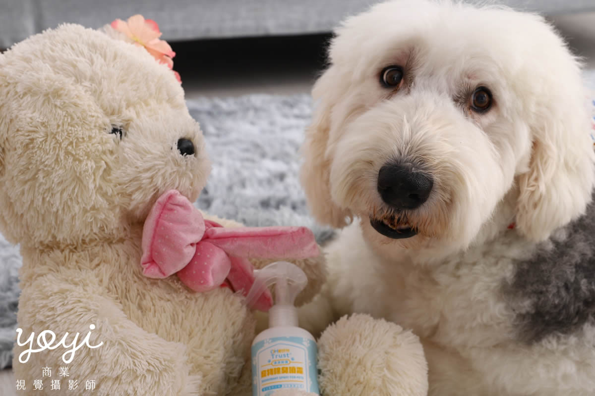寵物用品攝影｜寵物乾洗噴霧與居家清潔護理情境攝影 51