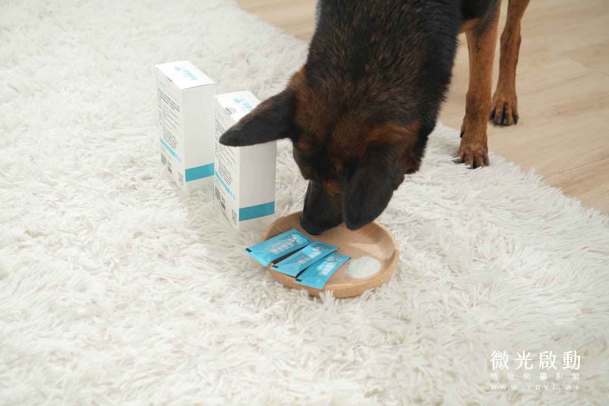 寵物食品攝影｜邊境牧羊犬自然互動情境攝影｜毛球宇宙 5