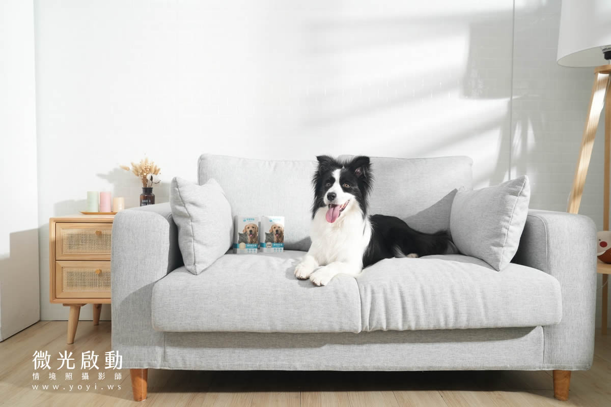 寵物食品攝影｜邊境牧羊犬自然互動情境攝影｜毛球宇宙 15