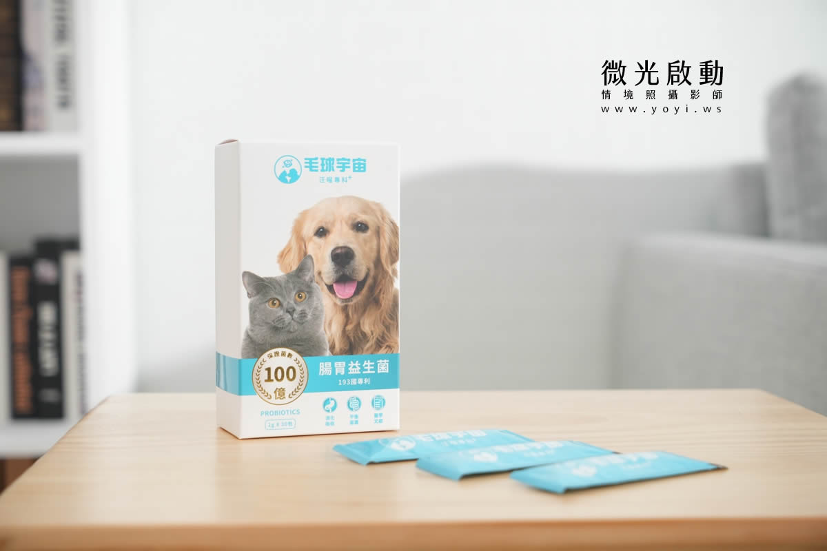 寵物食品攝影｜邊境牧羊犬自然互動情境攝影｜毛球宇宙 17