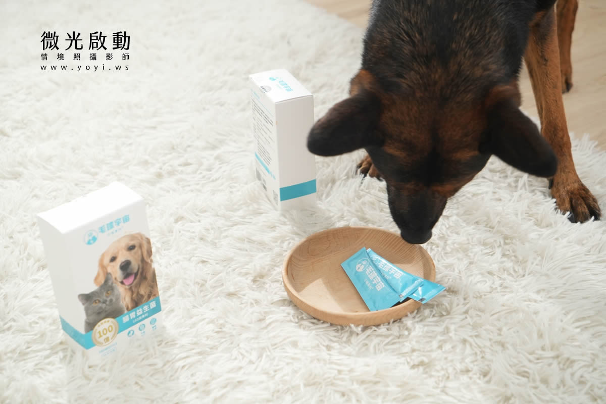 寵物食品攝影｜邊境牧羊犬自然互動情境攝影｜毛球宇宙 27