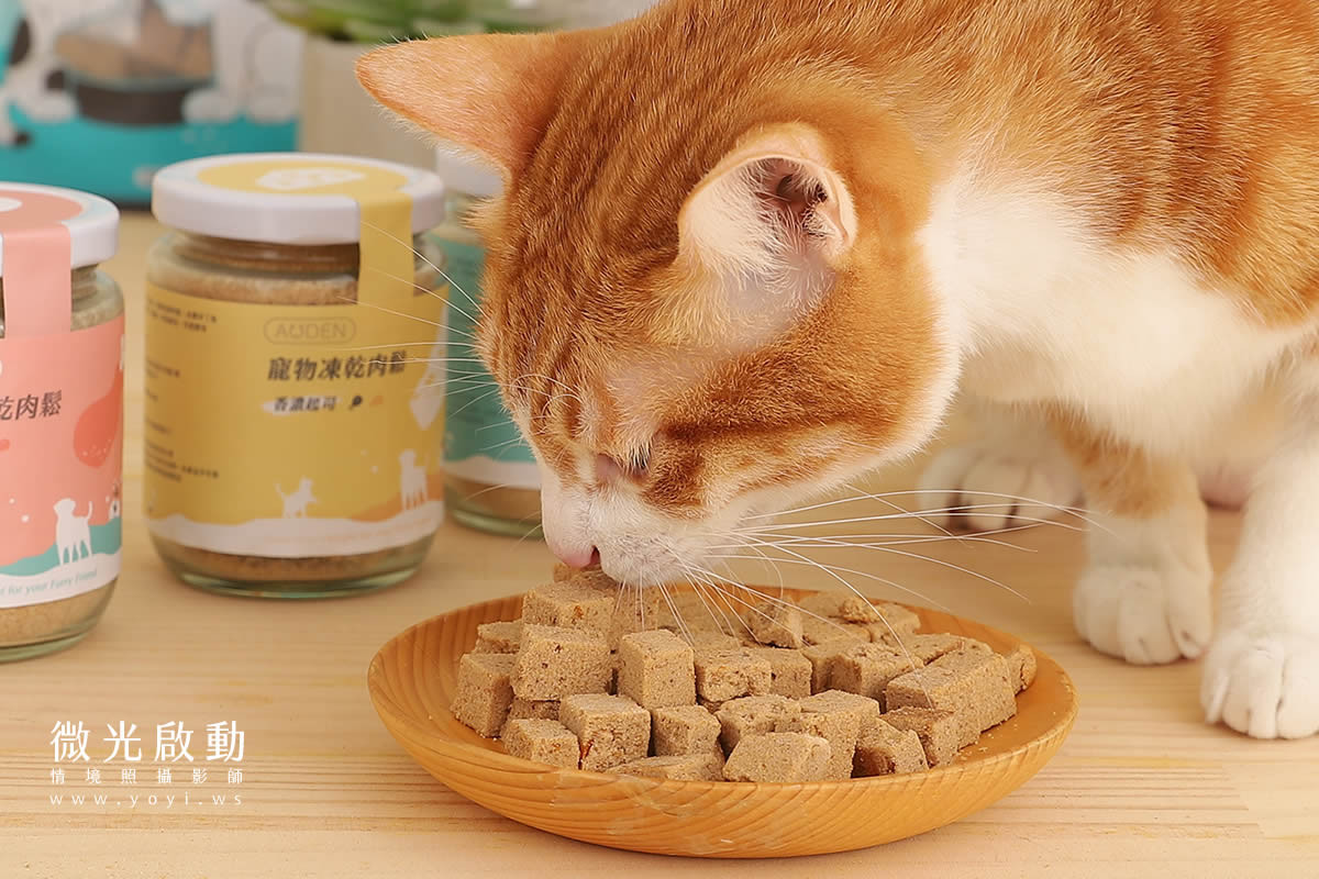 寵物食品攝影｜貓咪真實品嚐美味情境攝影｜肥滋滋 7