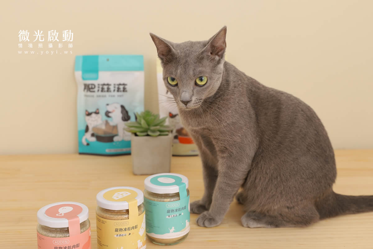 寵物食品攝影｜貓咪真實品嚐美味情境攝影｜肥滋滋 11