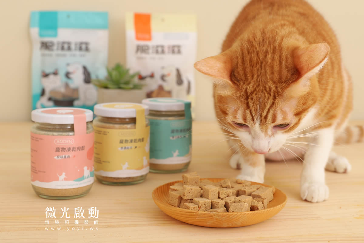 寵物食品攝影｜貓咪真實品嚐美味情境攝影｜肥滋滋 21
