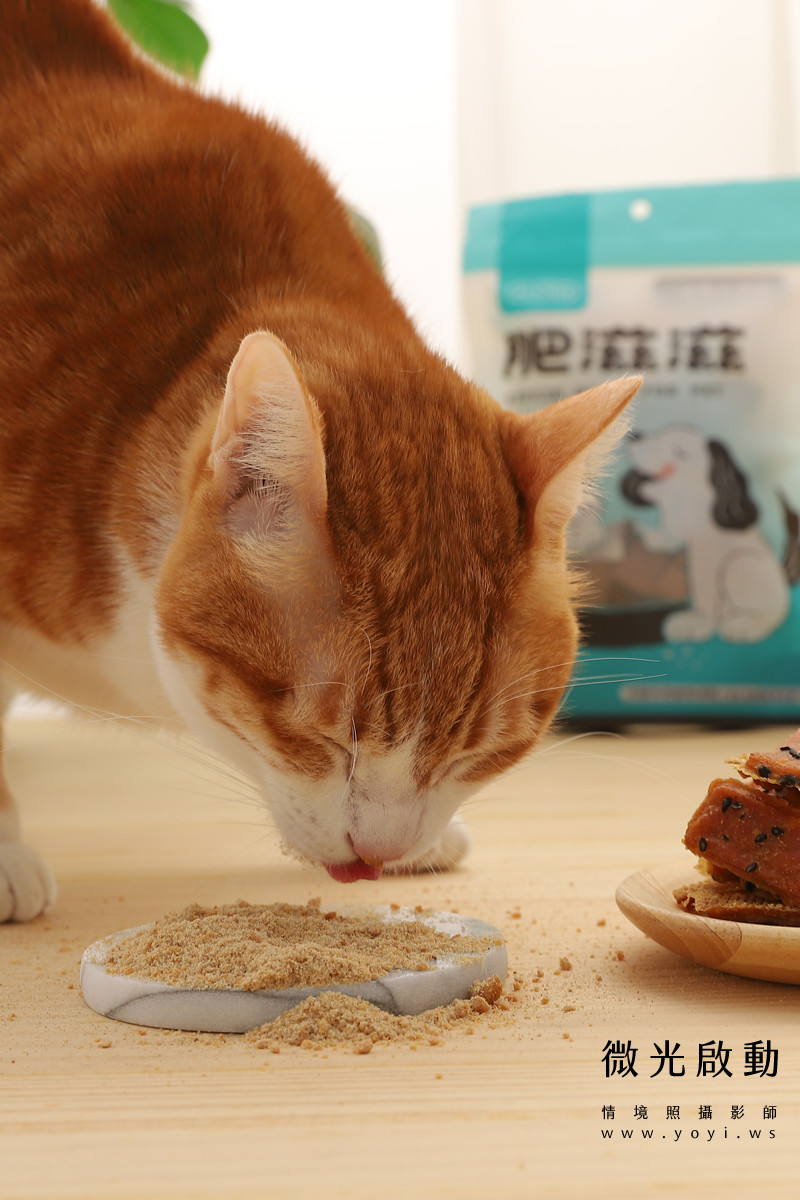 寵物食品攝影｜貓咪真實品嚐美味情境攝影｜肥滋滋 25