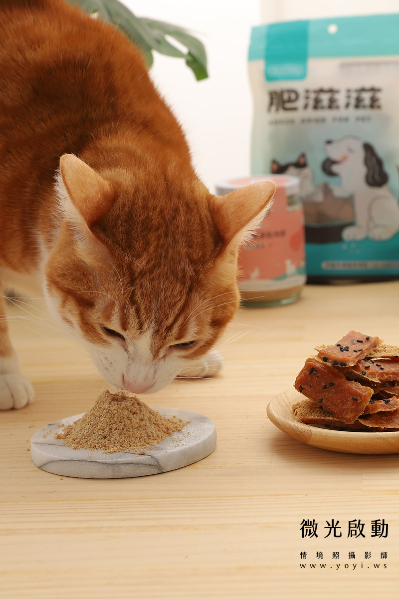 寵物食品攝影｜貓咪真實品嚐美味情境攝影｜肥滋滋 31