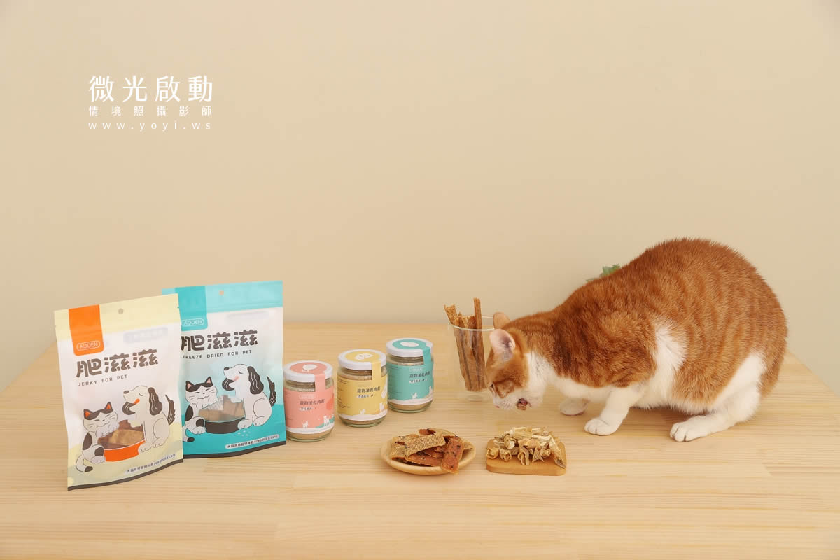 寵物食品攝影｜貓咪真實品嚐美味情境攝影｜肥滋滋 37