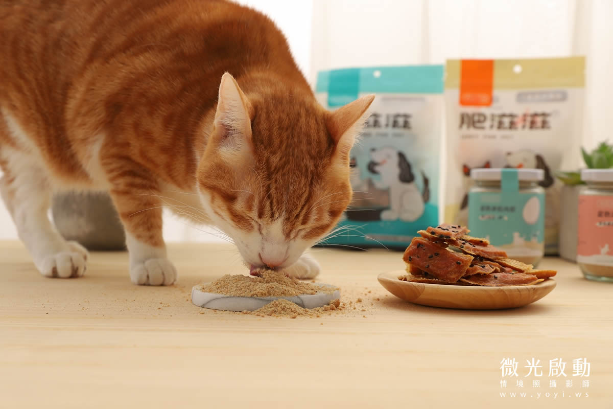 寵物食品攝影｜貓咪真實品嚐美味情境攝影｜肥滋滋 41