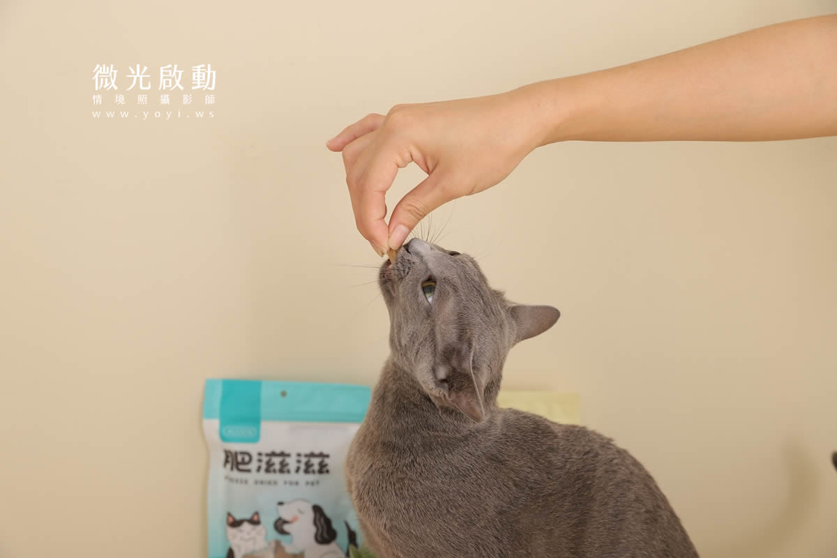 寵物食品攝影｜貓咪真實品嚐美味情境攝影｜肥滋滋 49