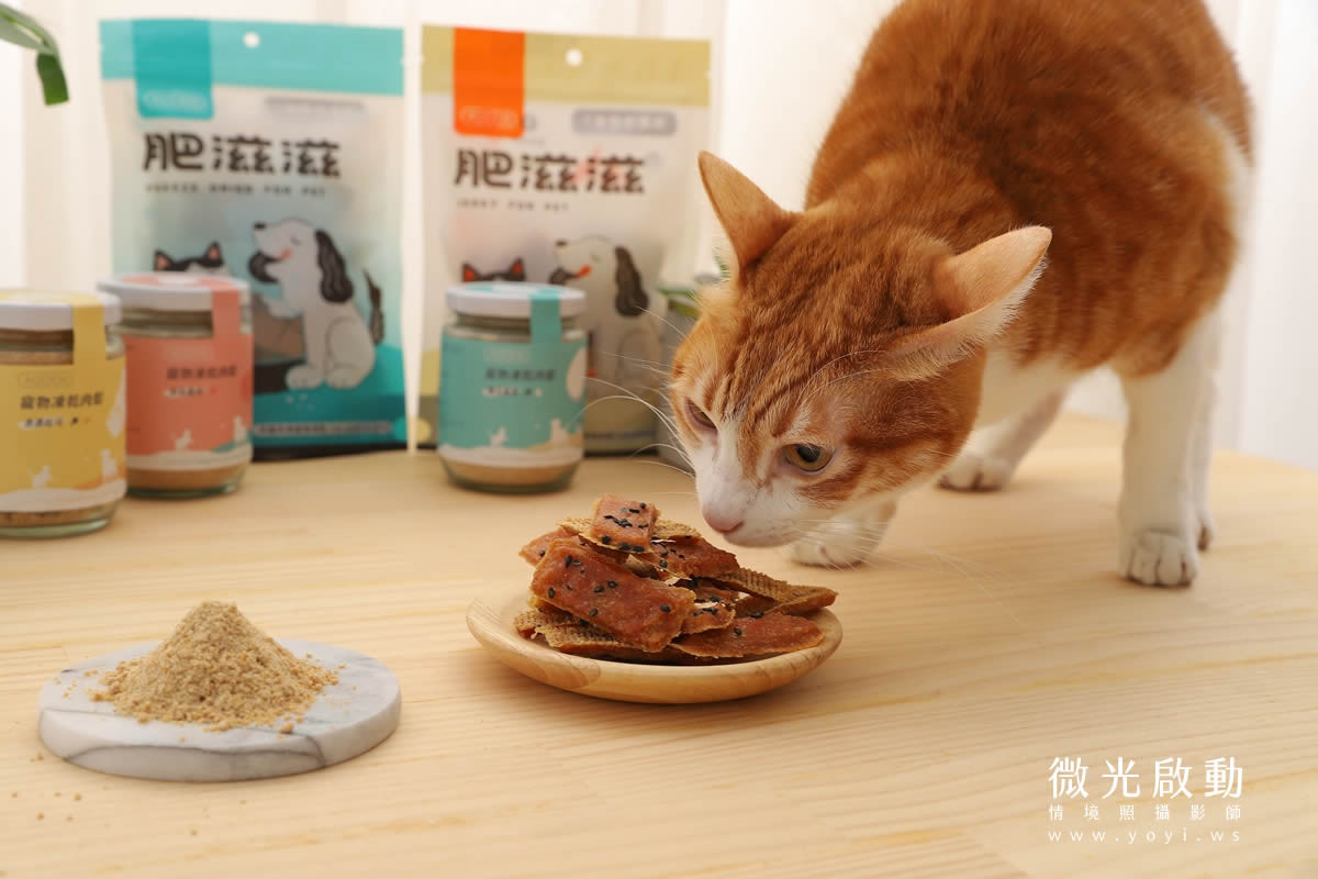 寵物食品攝影｜貓咪真實品嚐美味情境攝影｜肥滋滋 55