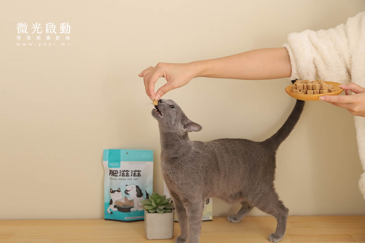 寵物食品攝影｜貓咪真實品嚐美味情境攝影｜肥滋滋 63