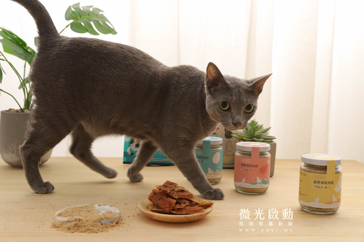 寵物食品攝影｜貓咪真實品嚐美味情境攝影｜肥滋滋 67