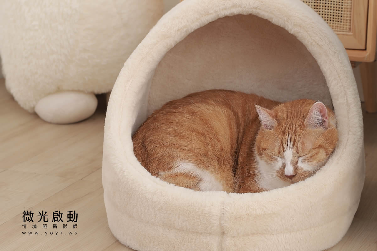 寵物用品攝影｜貓咪溫馨半封閉式造型睡窩情境攝影｜韋民 1