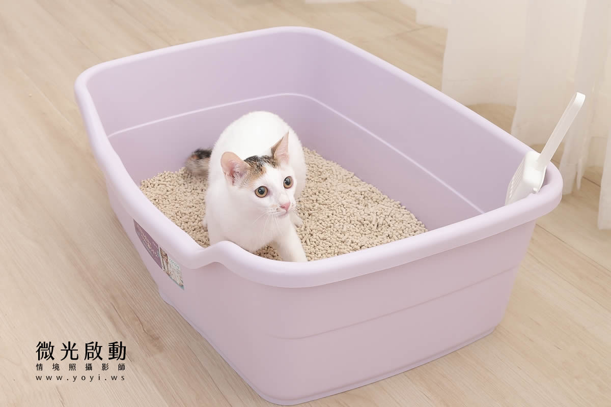 寵物用品攝影｜貓咪溫馨半封閉式造型睡窩情境攝影｜韋民 3