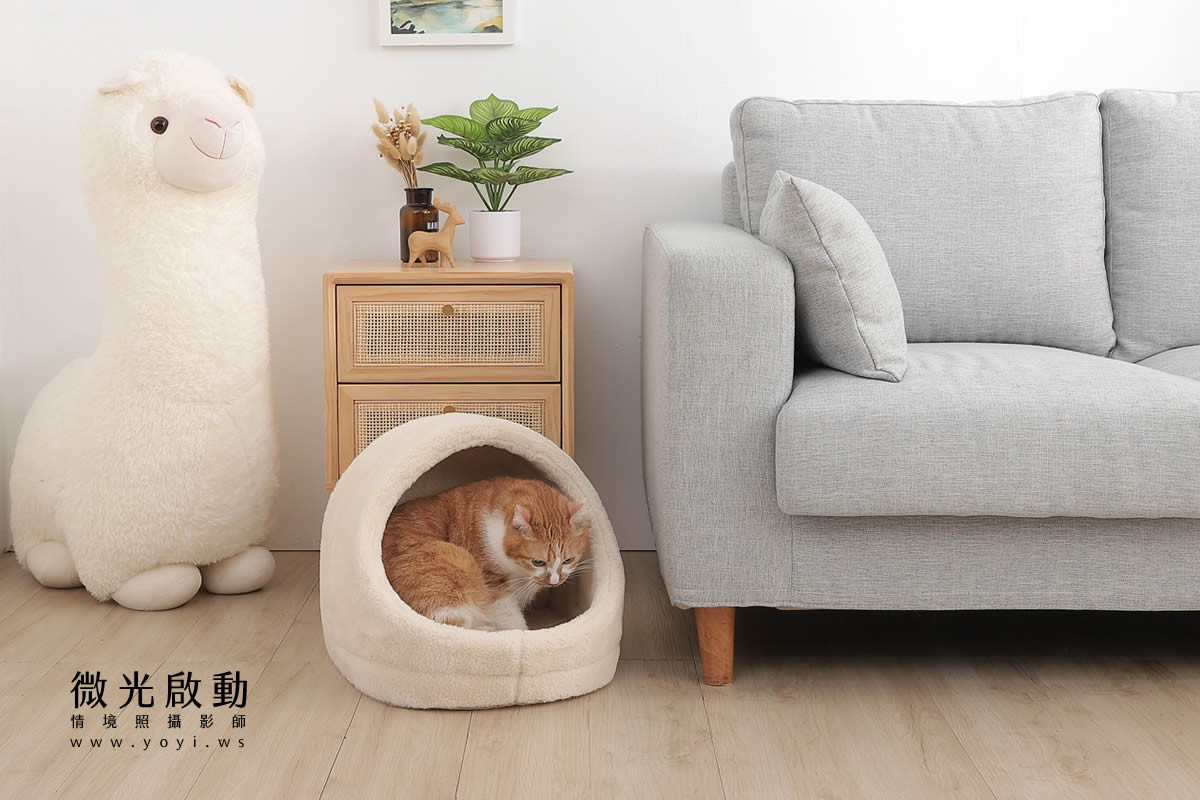 寵物用品攝影｜貓咪溫馨半封閉式造型睡窩情境攝影｜韋民 7