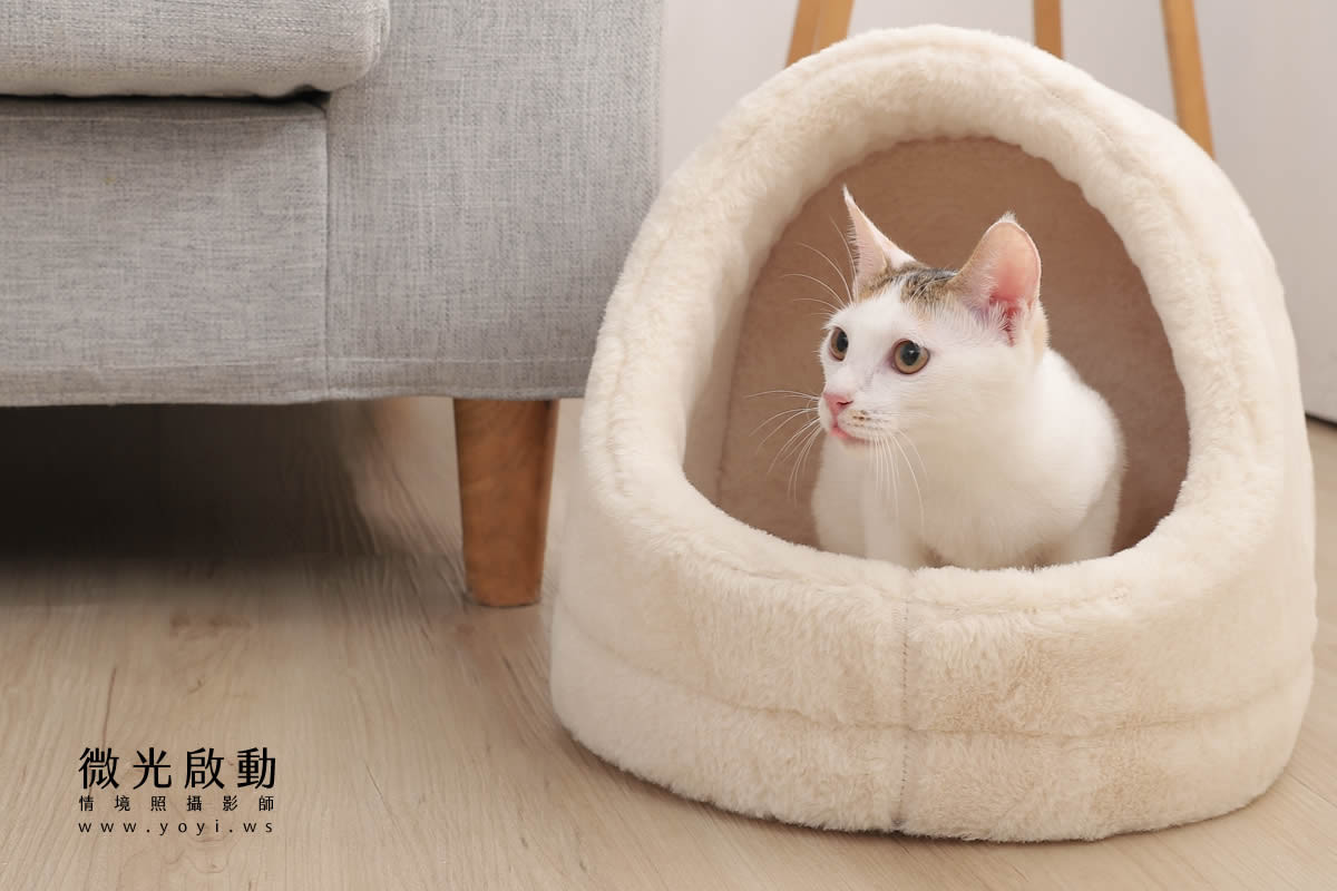 寵物用品攝影｜貓咪溫馨半封閉式造型睡窩情境攝影｜韋民 9