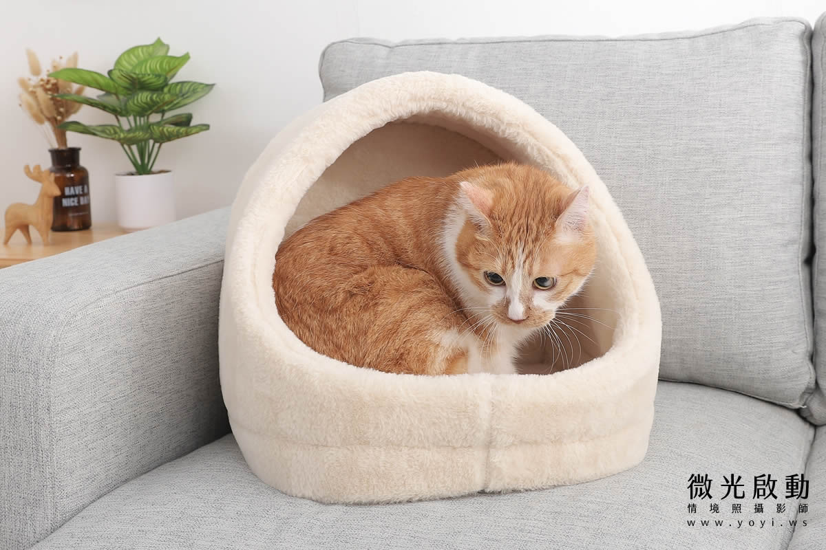 寵物用品攝影｜貓咪溫馨半封閉式造型睡窩情境攝影｜韋民 11