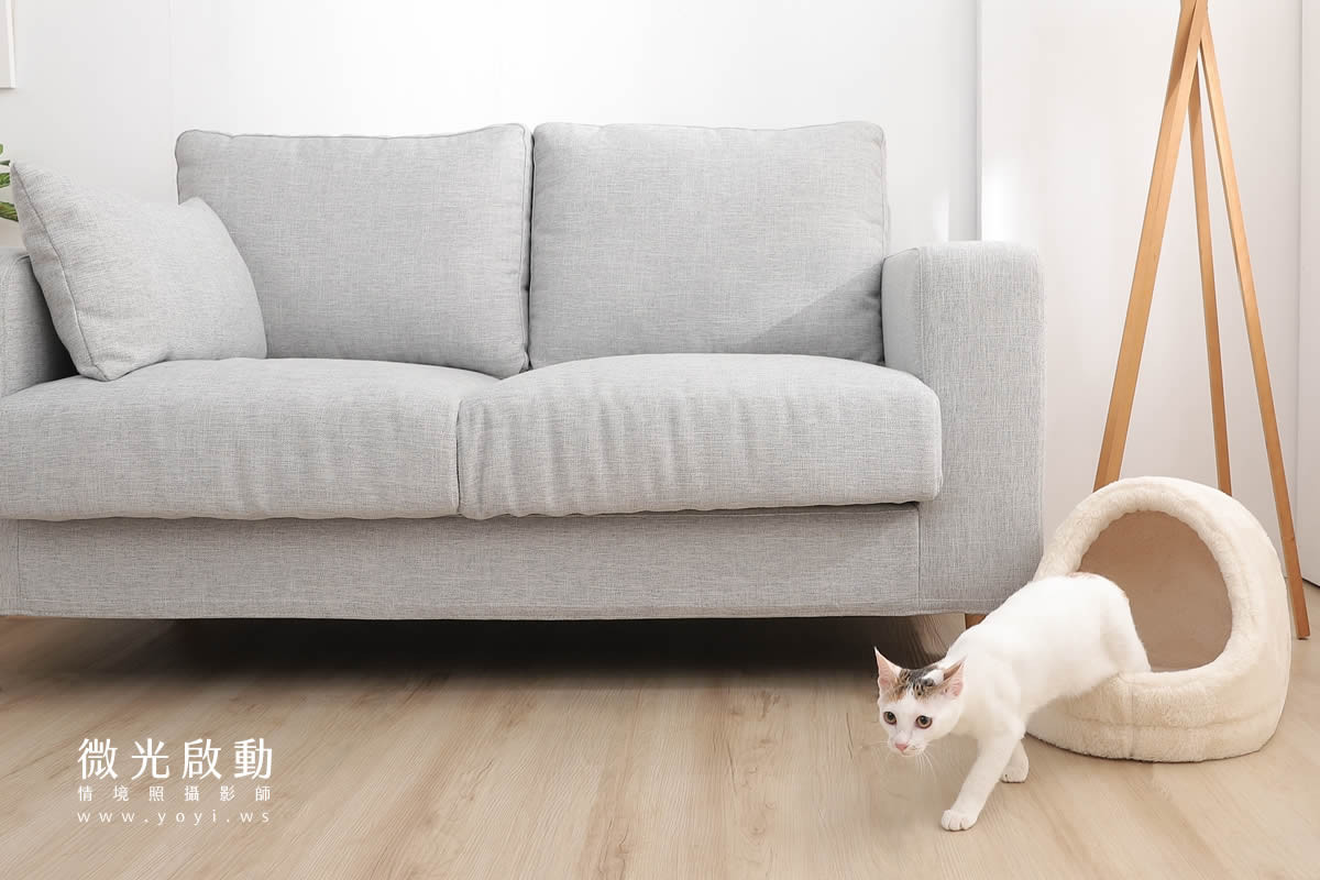 寵物用品攝影｜貓咪溫馨半封閉式造型睡窩情境攝影｜韋民 15