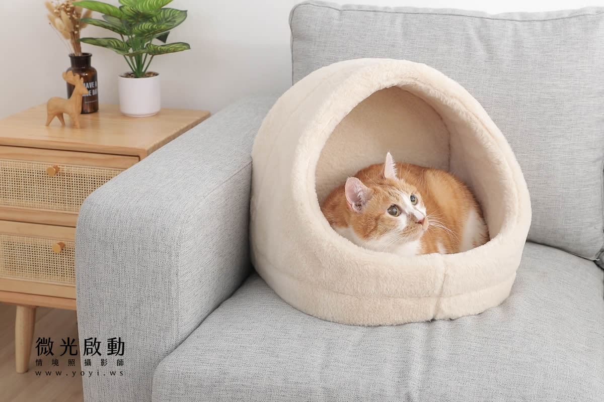 寵物用品攝影｜貓咪溫馨半封閉式造型睡窩情境攝影｜韋民 19