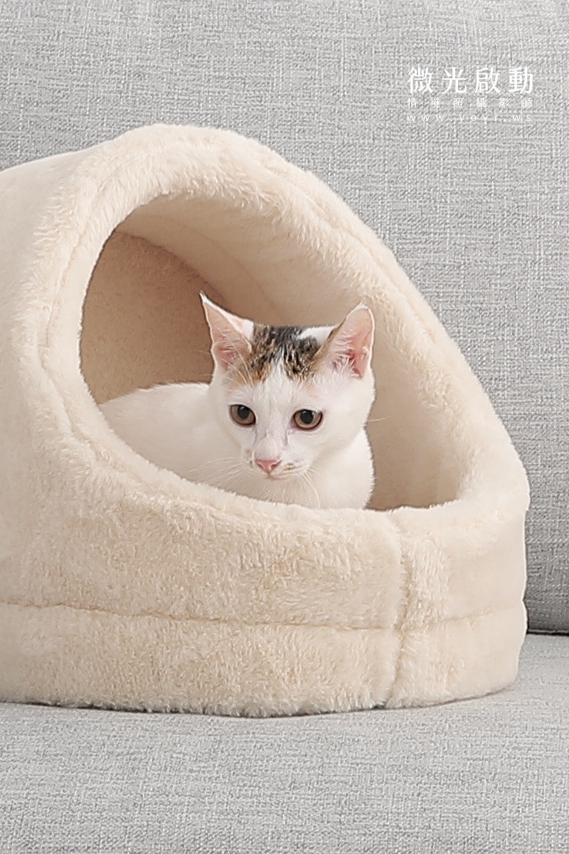 寵物用品攝影｜貓咪溫馨半封閉式造型睡窩情境攝影｜韋民 31