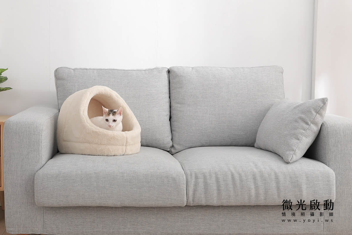 寵物用品攝影｜貓咪溫馨半封閉式造型睡窩情境攝影｜韋民 33