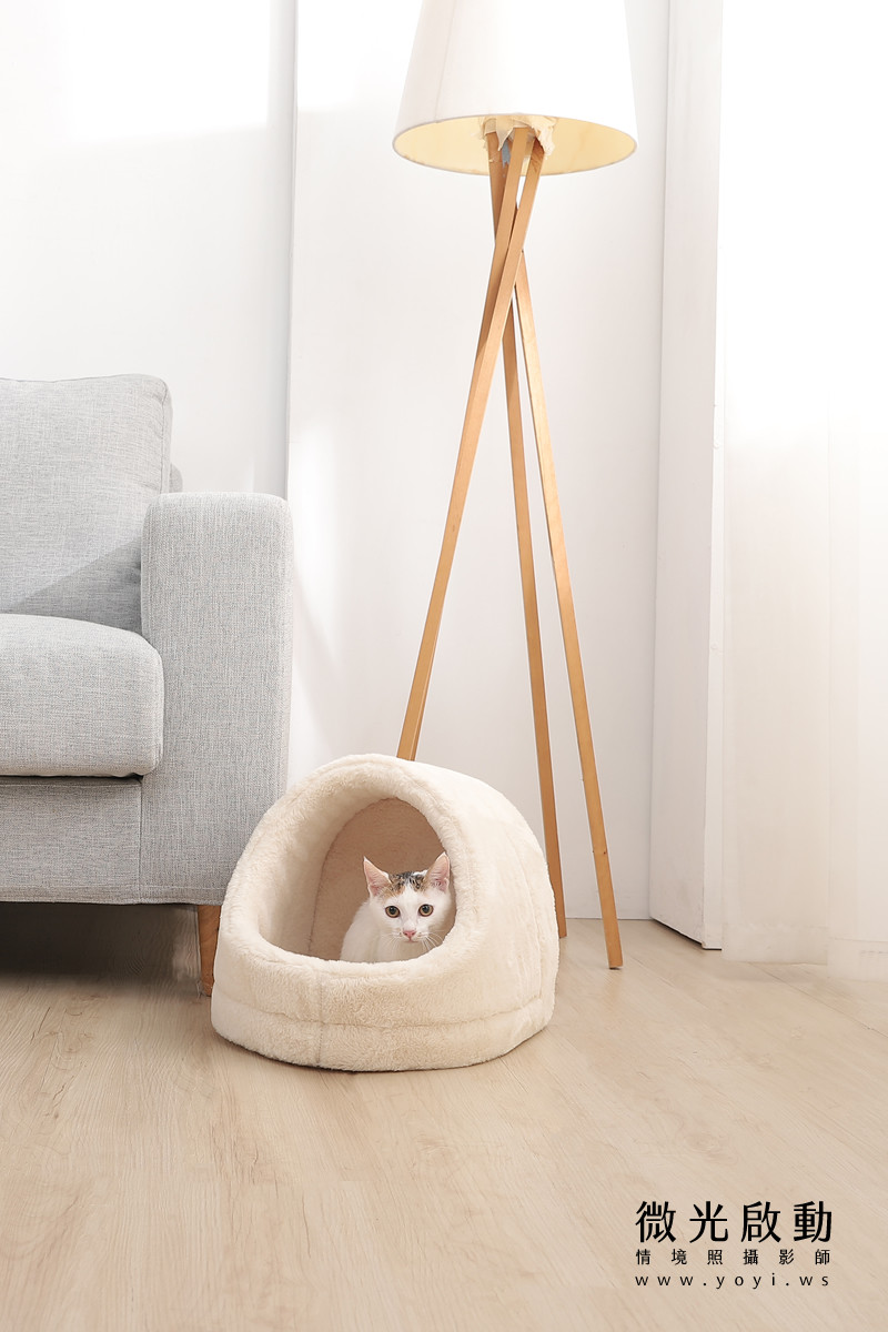 寵物用品攝影｜貓咪溫馨半封閉式造型睡窩情境攝影｜韋民 35