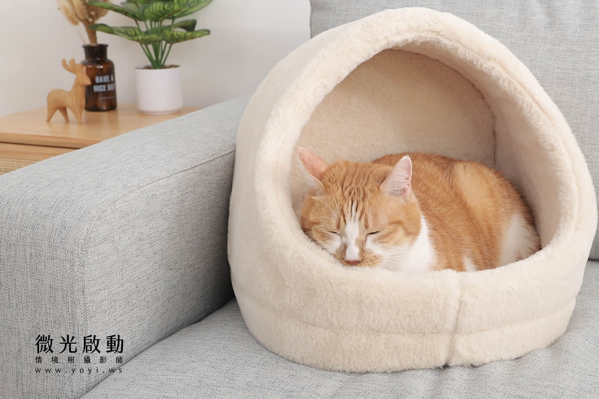 寵物用品攝影｜貓咪溫馨半封閉式造型睡窩情境攝影｜韋民 43