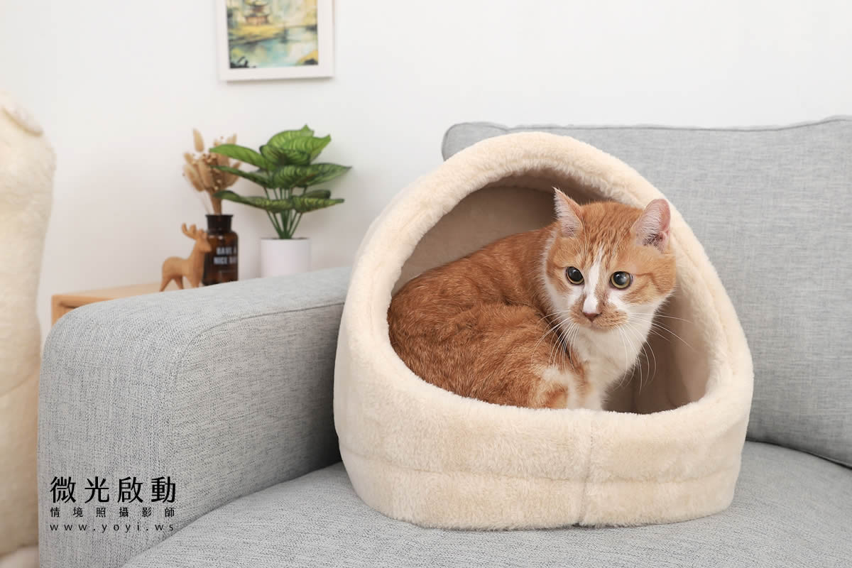 寵物用品攝影｜貓咪溫馨半封閉式造型睡窩情境攝影｜韋民 47