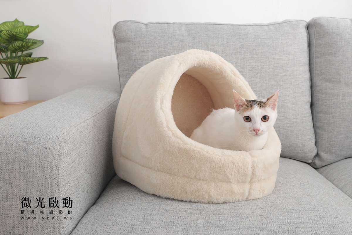 寵物用品攝影｜貓咪溫馨半封閉式造型睡窩情境攝影｜韋民 63