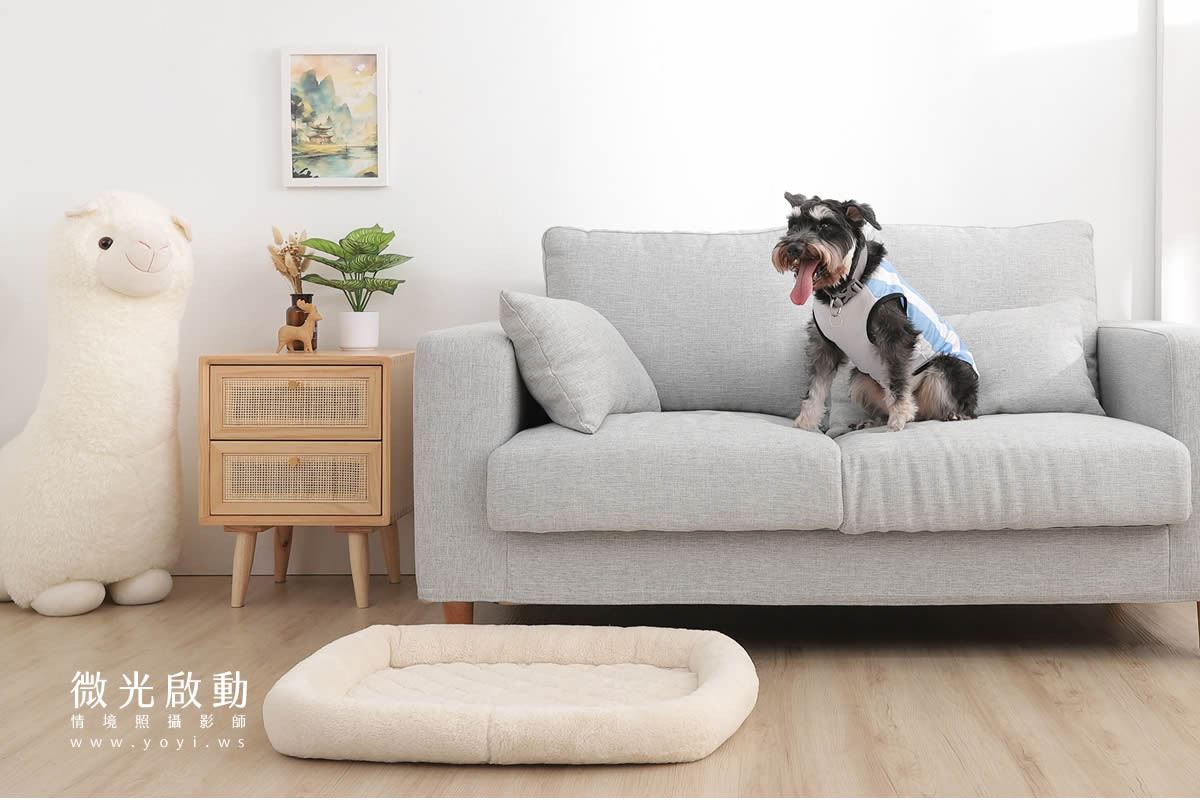 寵物用品攝影｜貓咪溫馨半封閉式造型睡窩情境攝影｜韋民 67