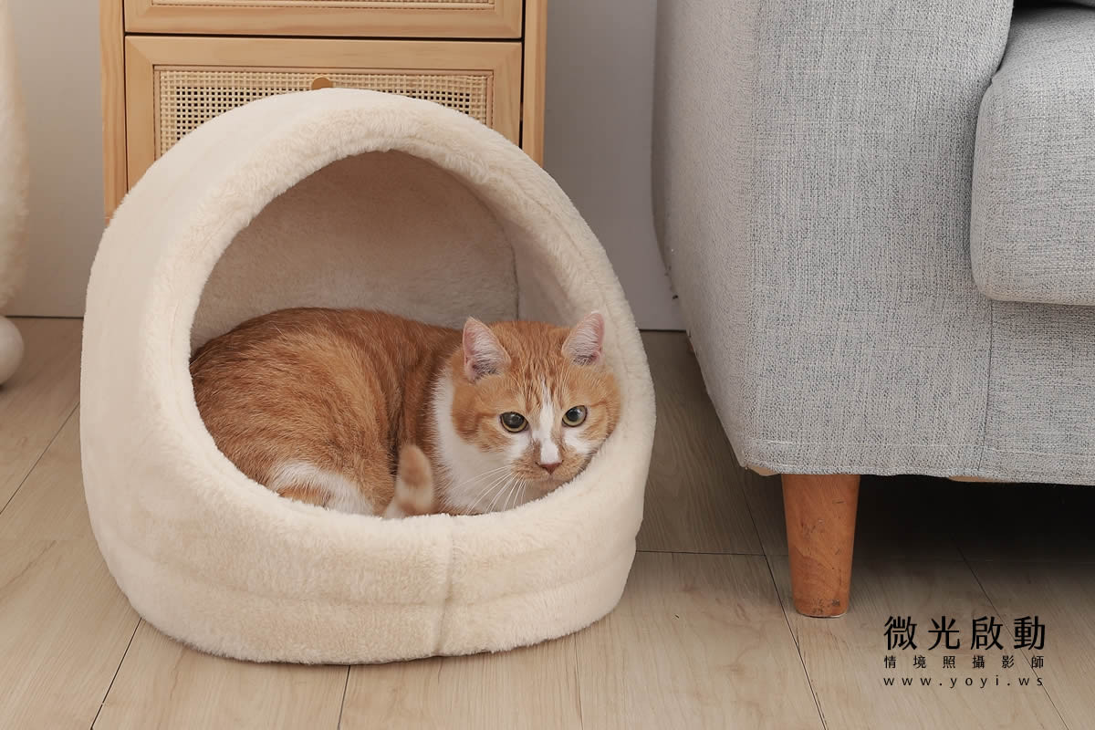 寵物用品攝影｜貓咪溫馨半封閉式造型睡窩情境攝影｜韋民 77