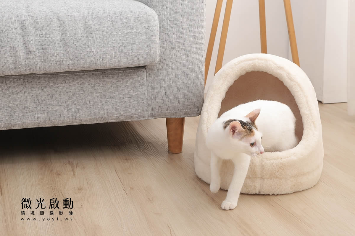 寵物用品攝影｜貓咪溫馨半封閉式造型睡窩情境攝影｜韋民 81