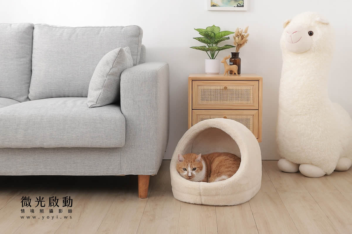 寵物用品攝影｜貓咪溫馨半封閉式造型睡窩情境攝影｜韋民 87