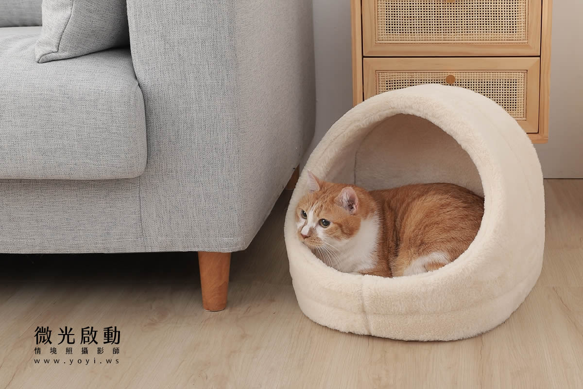 寵物用品攝影｜貓咪溫馨半封閉式造型睡窩情境攝影｜韋民 99