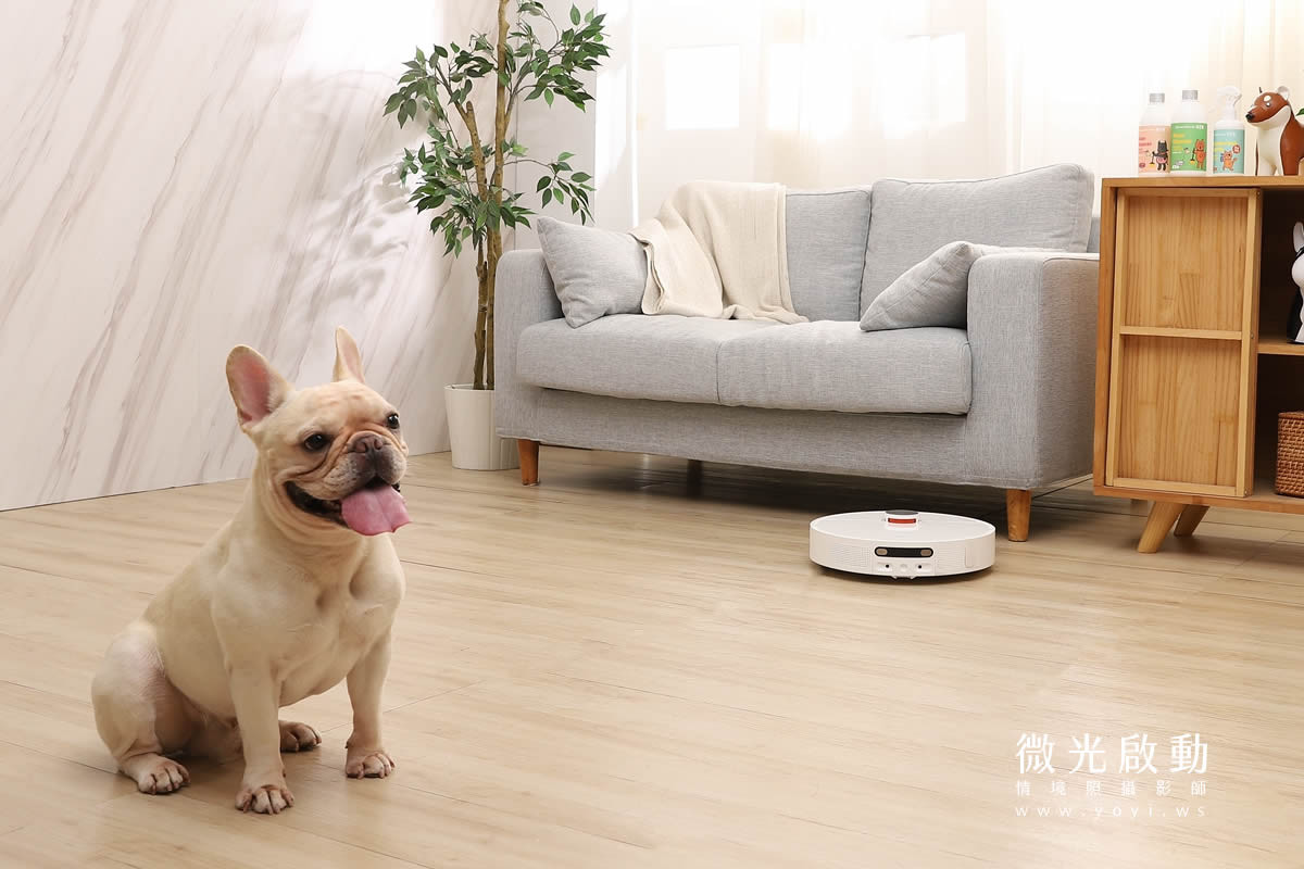 寵物清潔用品攝影｜沙威隆寵物洗劑與貓咪互動情境攝影｜沙威隆 5