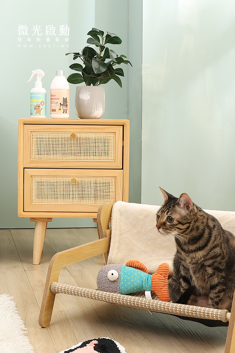 寵物清潔用品攝影｜沙威隆寵物洗劑與貓咪互動情境攝影｜沙威隆 7