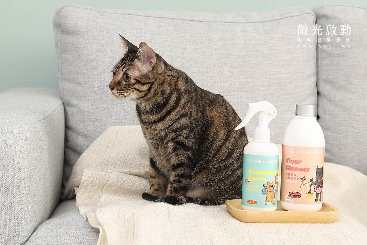 寵物清潔用品攝影｜沙威隆寵物洗劑與貓咪互動情境攝影｜沙威隆 17