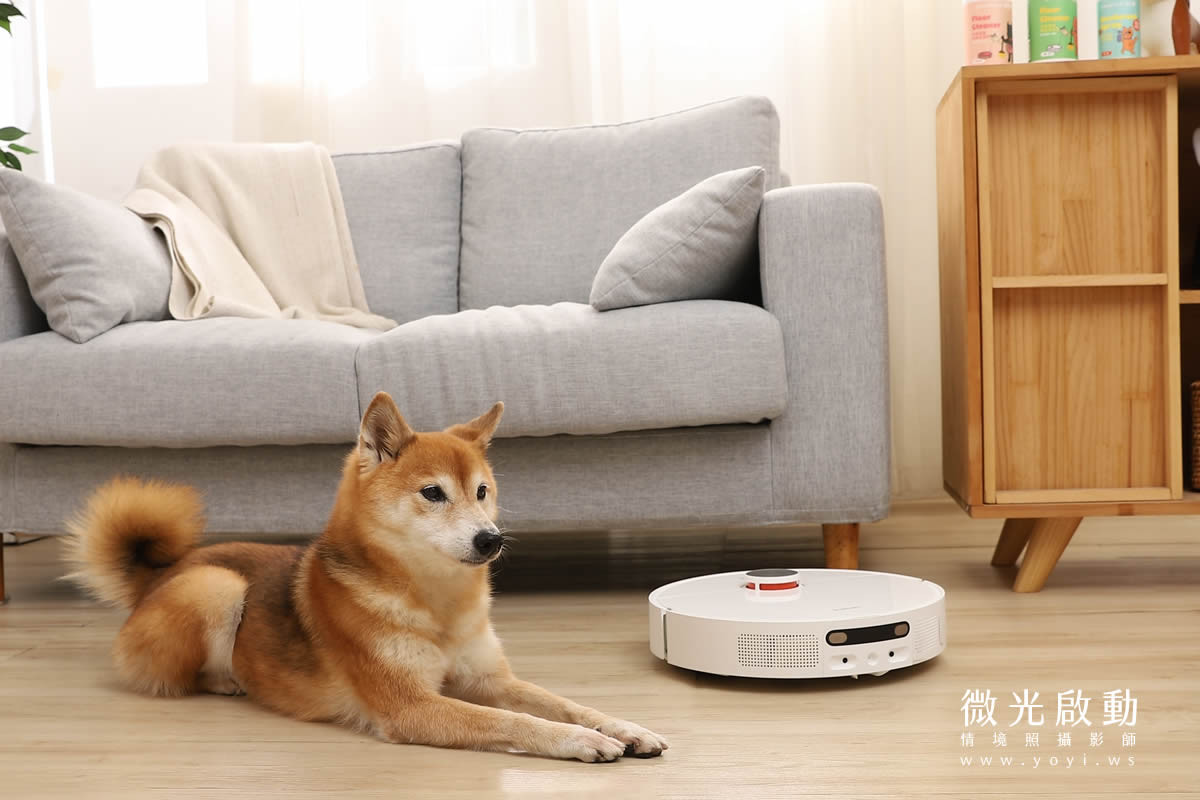 寵物清潔用品攝影｜沙威隆寵物洗劑與貓咪互動情境攝影｜沙威隆 27