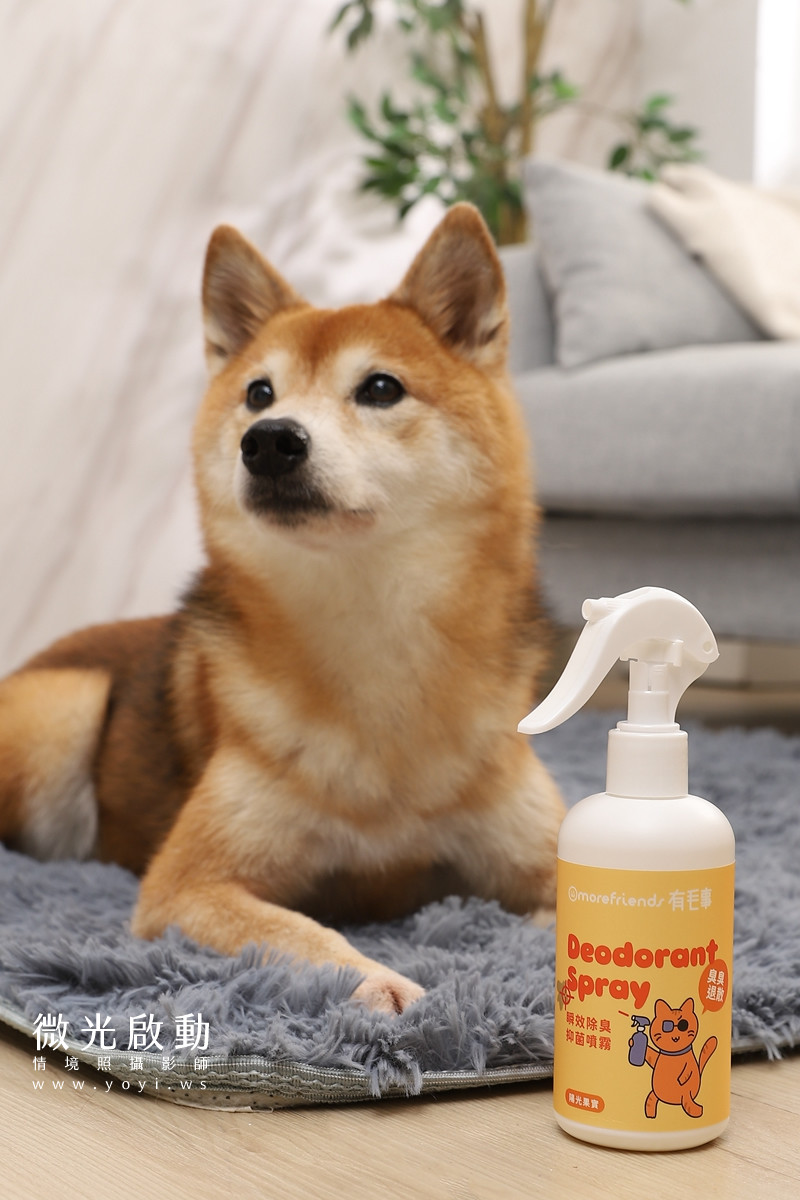 寵物清潔用品攝影｜沙威隆寵物洗劑與貓咪互動情境攝影｜沙威隆 33