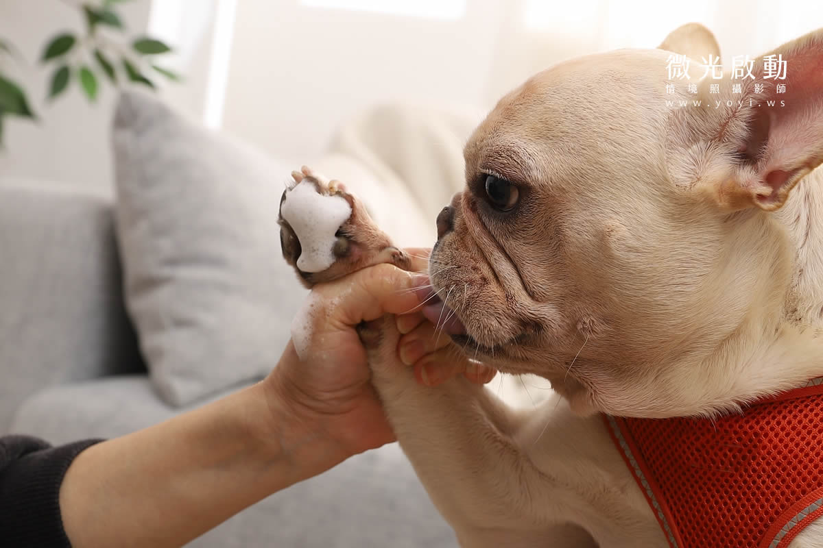 寵物清潔用品攝影｜沙威隆寵物洗劑與貓咪互動情境攝影｜沙威隆 37