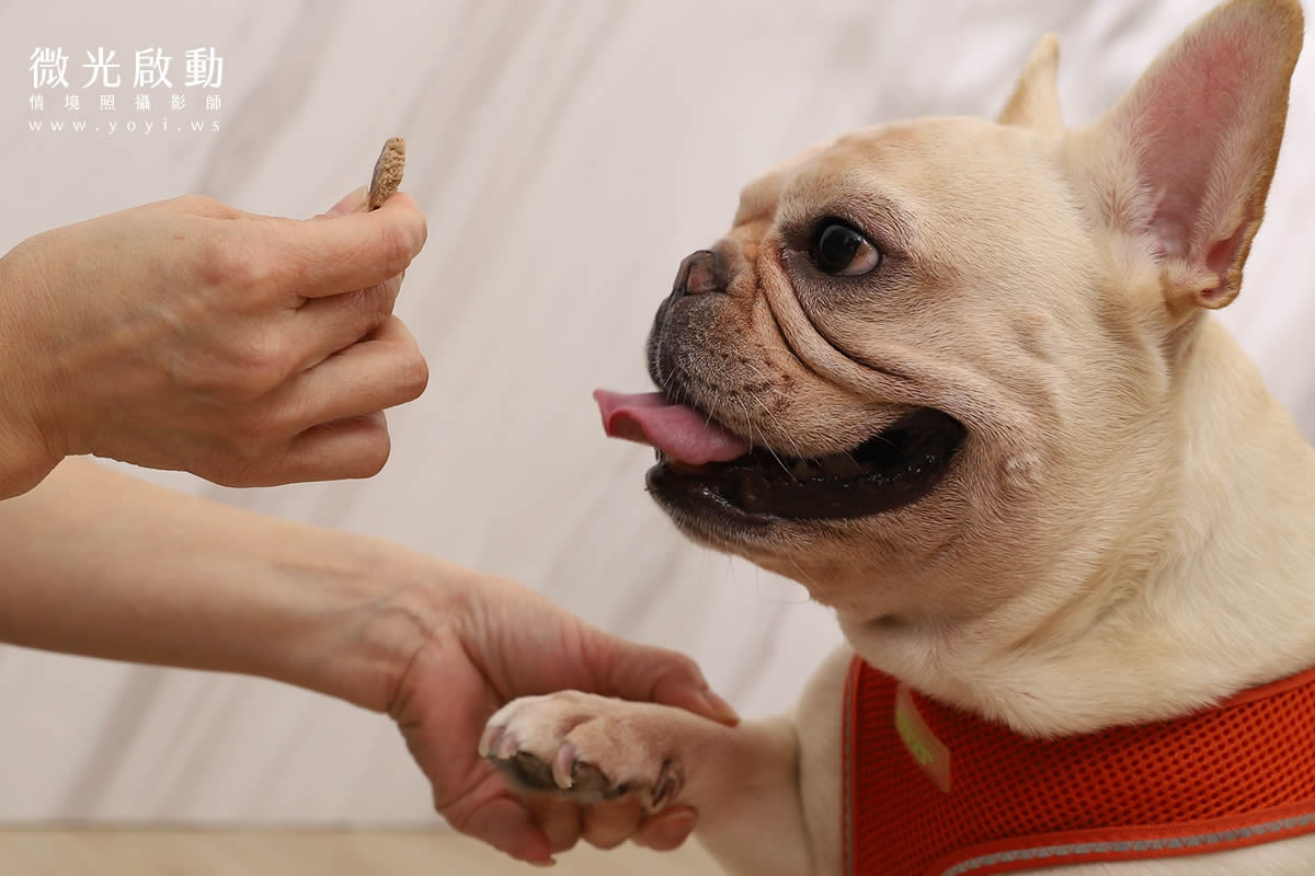 寵物清潔用品攝影｜沙威隆寵物洗劑與貓咪互動情境攝影｜沙威隆 47