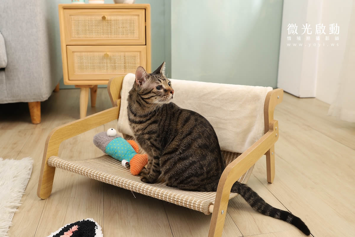 寵物清潔用品攝影｜沙威隆寵物洗劑與貓咪互動情境攝影｜沙威隆 49