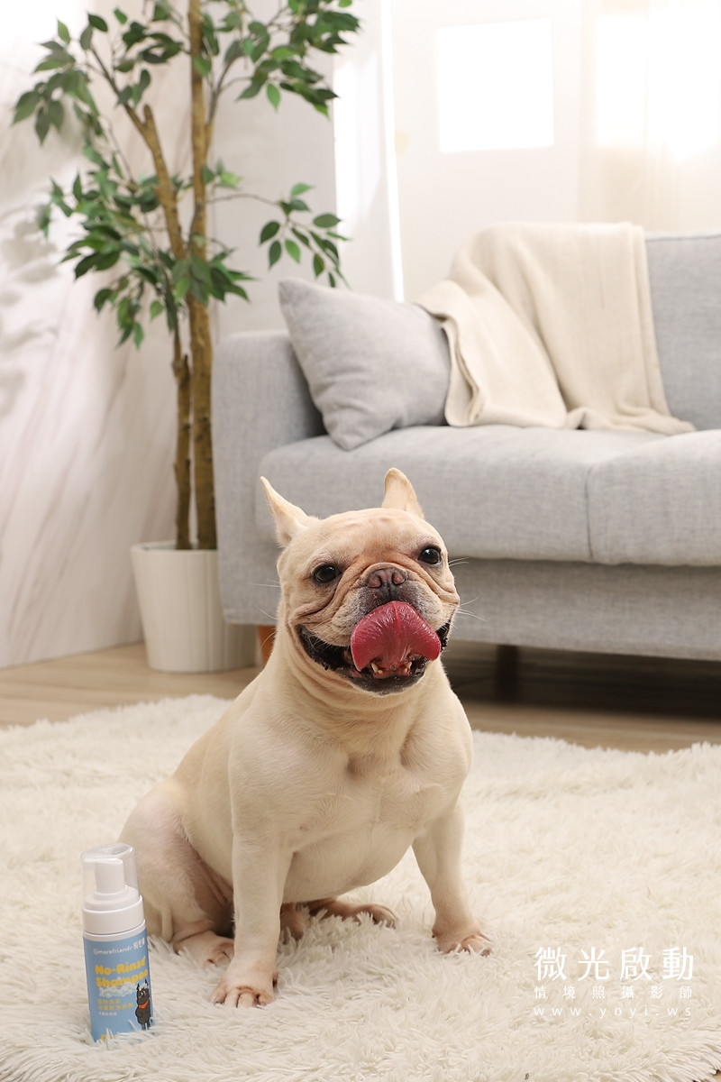 寵物清潔用品攝影｜沙威隆寵物洗劑與貓咪互動情境攝影｜沙威隆 57