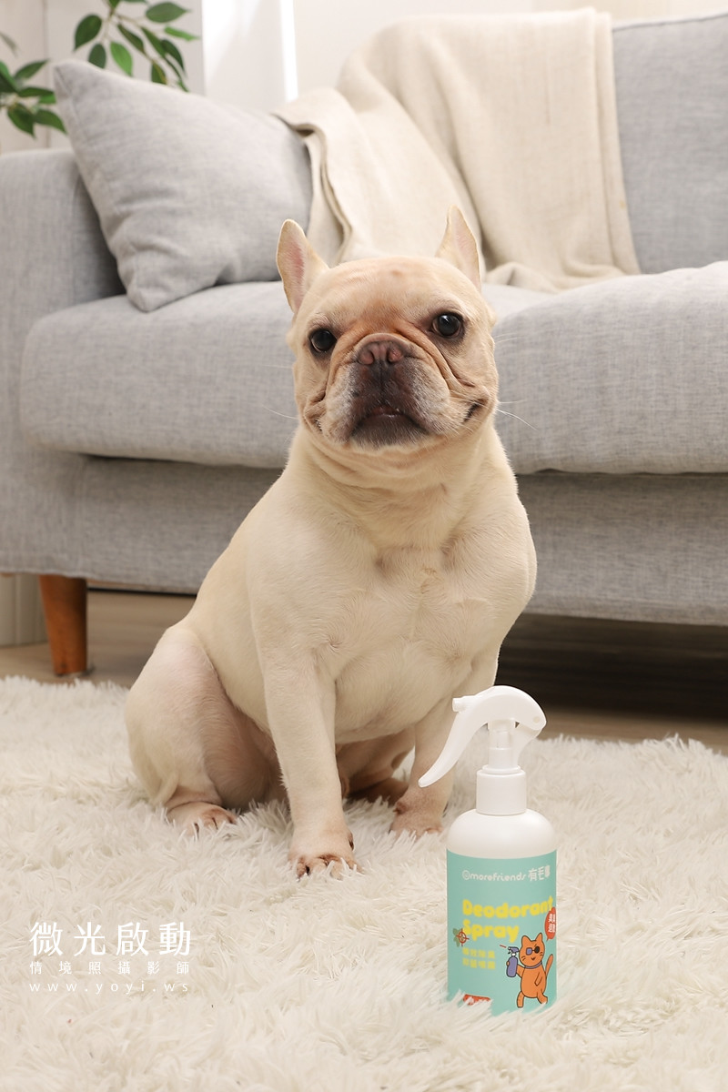 寵物清潔用品攝影｜沙威隆寵物洗劑與貓咪互動情境攝影｜沙威隆 65