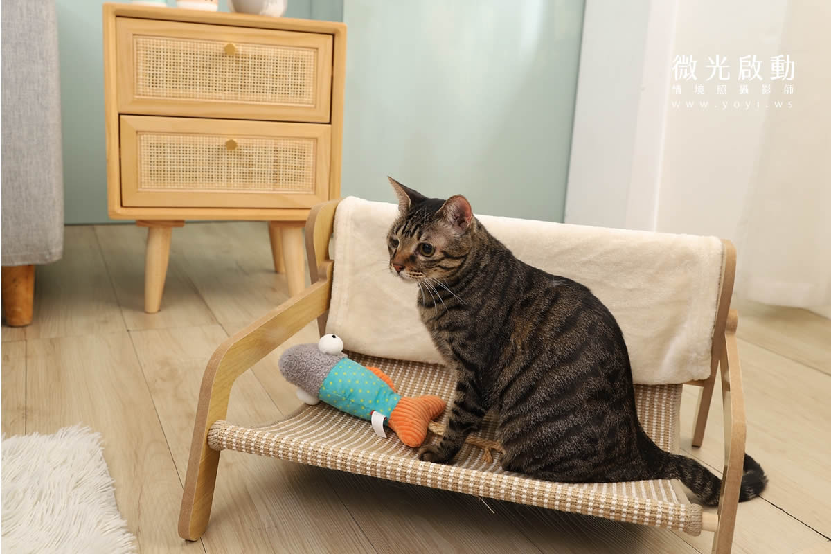 寵物清潔用品攝影｜沙威隆寵物洗劑與貓咪互動情境攝影｜沙威隆 75