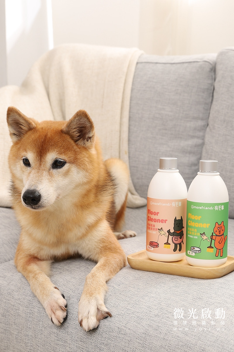 寵物清潔用品攝影｜沙威隆寵物洗劑與貓咪互動情境攝影｜沙威隆 79