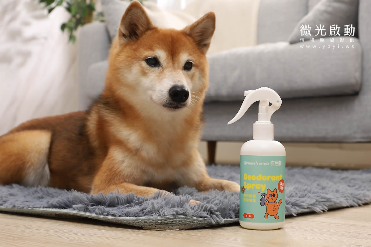 寵物清潔用品攝影｜沙威隆寵物洗劑與貓咪互動情境攝影｜沙威隆 85