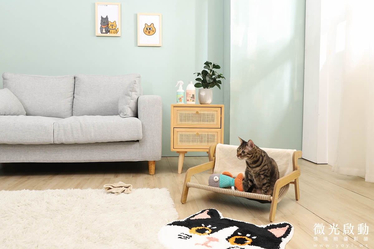 寵物清潔用品攝影｜沙威隆寵物洗劑與貓咪互動情境攝影｜沙威隆 89