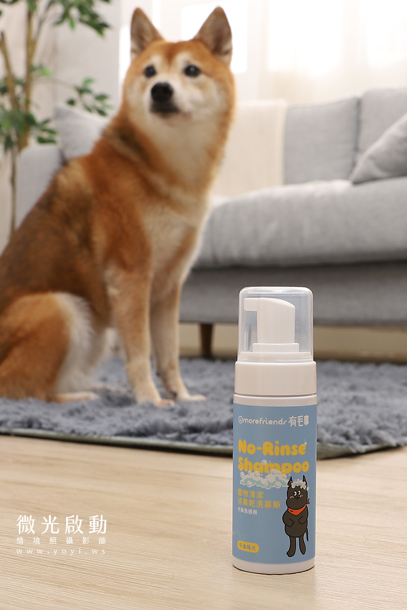 寵物清潔用品攝影｜沙威隆寵物洗劑與貓咪互動情境攝影｜沙威隆 125